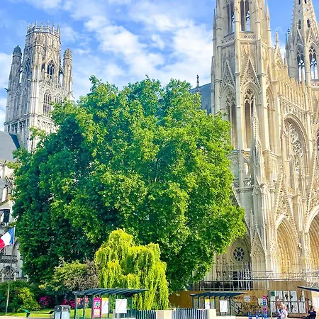 Apartman L'hauss'rouennais - Grand T2 Chic Pres De L'hotel De De Rouen- Ideal Couple-pros